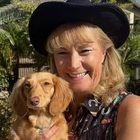 C B Wilson's picture