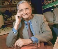 E O Wilson's picture