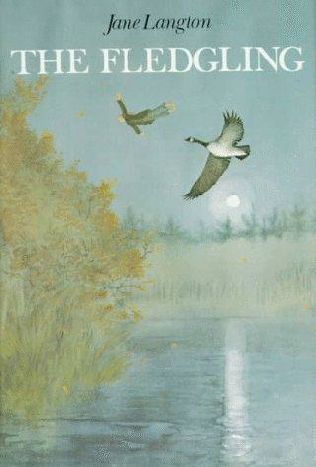 Virginia hamilton jane langton essay 04 picture