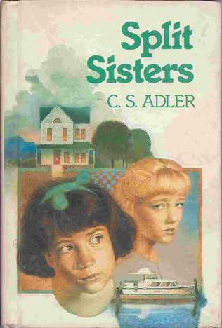 book cover of Split Sisters