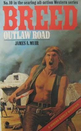 book cover of Outlaw Road