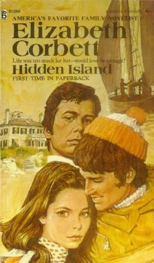 book cover of Hidden Island