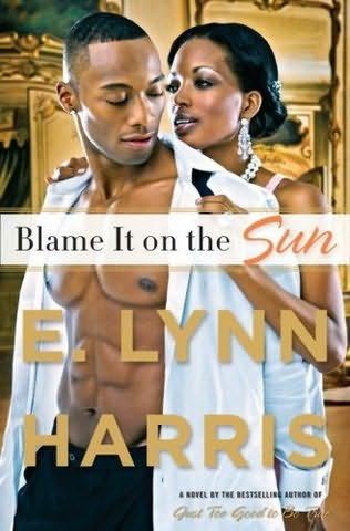 book cover of Blame It On the Sun