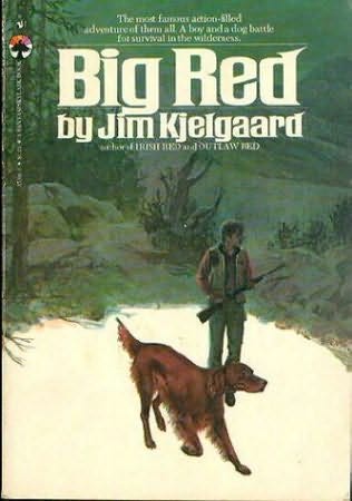 Download The Big Red Lollipop Book Background