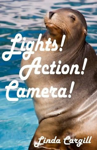 book cover of Lights! Action! Camera!