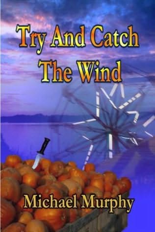 book cover of Try and Catch the Wind
