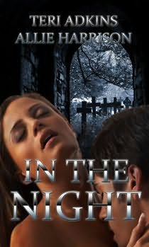 book cover of In the Night