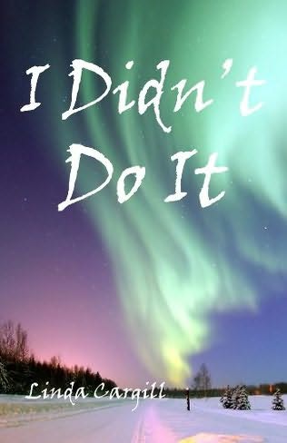 book cover of I Didn\'t Do It