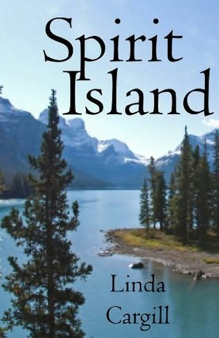 book cover of Spirit Island