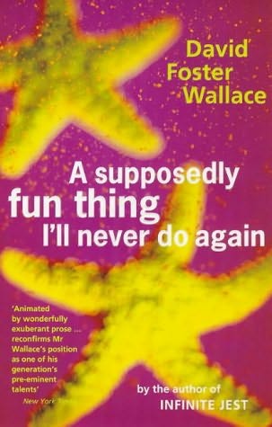 A supposedly fun thing essay